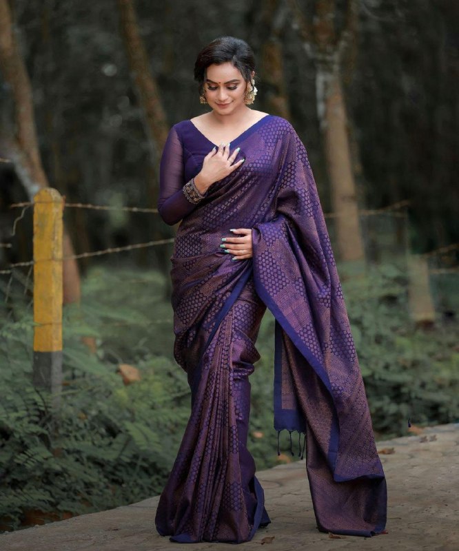 Pure Banarasi Soft Silk Saree